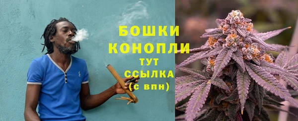 первитин Белокуриха