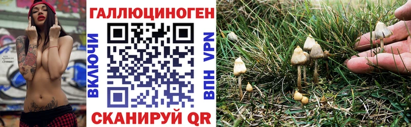 что такое наркотик  Чаплыгин  Галлюциногенные грибы GOLDEN TEACHER 